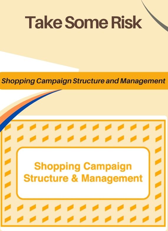 Take Some Risk – Shopping Campaign Structure and Management